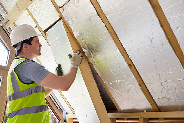 Best Insulation Maintenance and Repair in Stevenson, AL