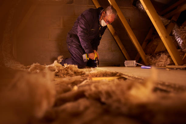 Best Insulation for Specific Applications in Stevenson, AL